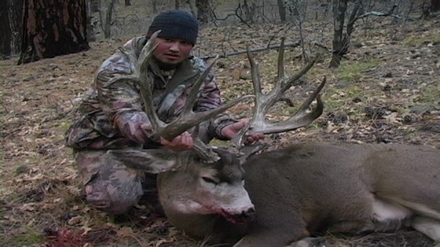 Jeremy Mule Deer 002.jpg