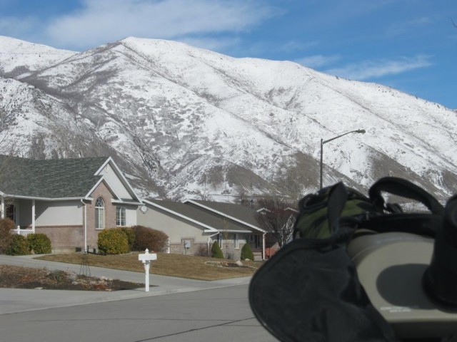 Wasatch Elk from Springville over the scope