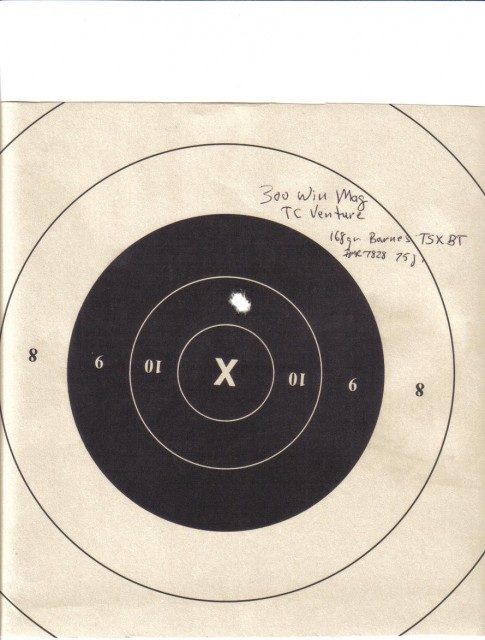 300 Win Mag Target 3.JPG