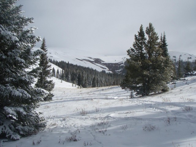 We were fortunate to wake up to snow the first morning....beautiful!