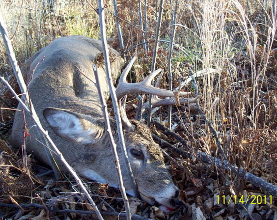 My 10th Day MN buck....Closest ever rifle kill (20 yards)...
