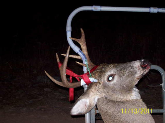 John shot this one 200+ yards out in a beaver pond...He gutted it in knee deep water....2 hours after dark when we made it back to the truck...&quot;What a hunt!&quot;