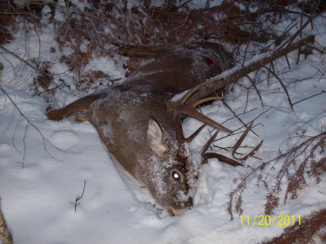 My last good one in WI 2011 138&quot; 8 pt