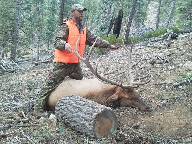 elk 2013 8.jpg