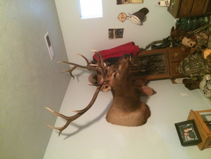 Muley2.jpg