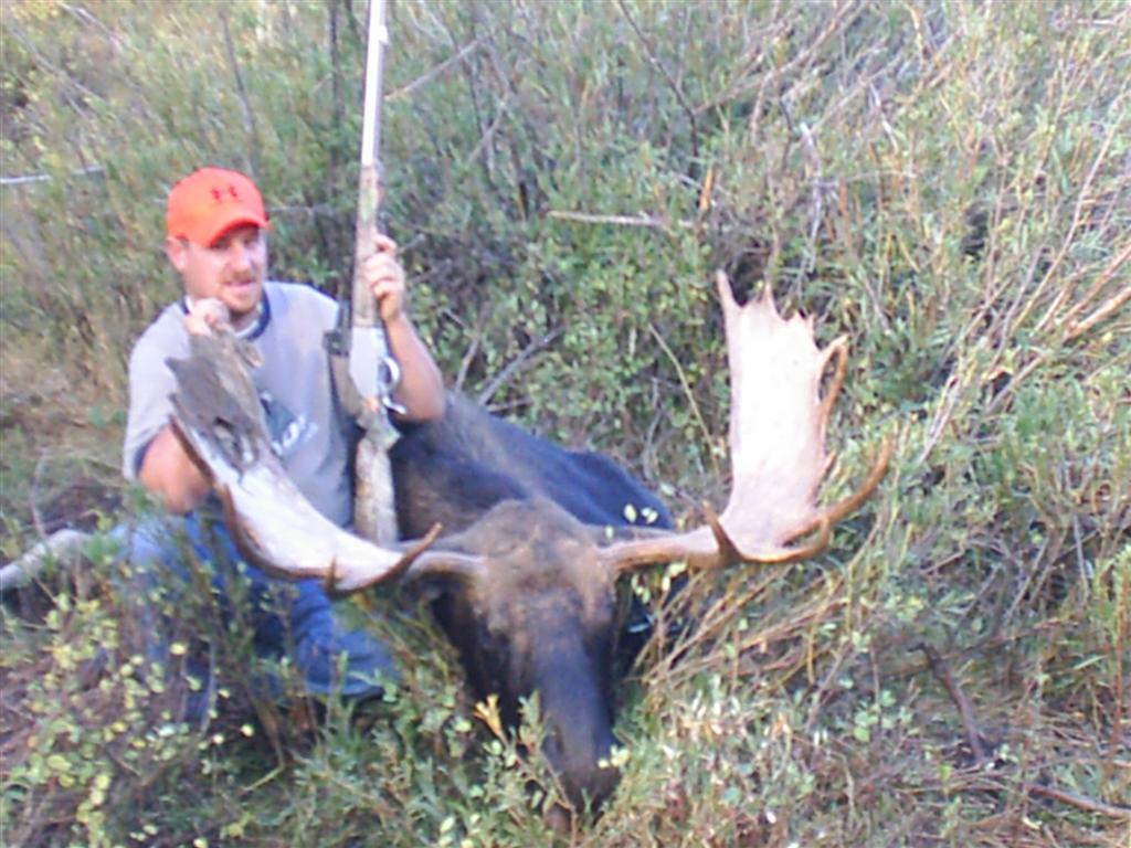 jud moose 2 (Large).jpg