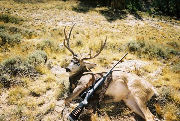 The mule deer is from Unit 55 Colorado last fall