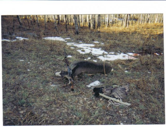 first deer1.JPG