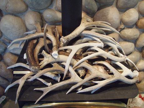 Muley Shed 0028.jpg