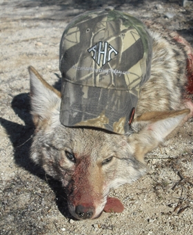 12-27-09 Coyote.JPG