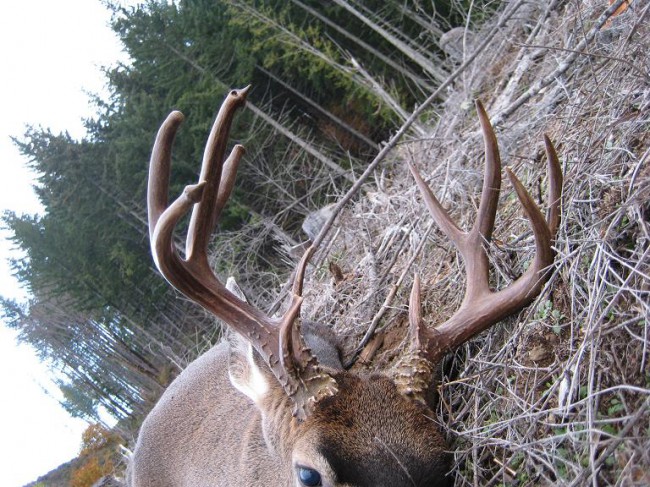 A few more views of the rack...