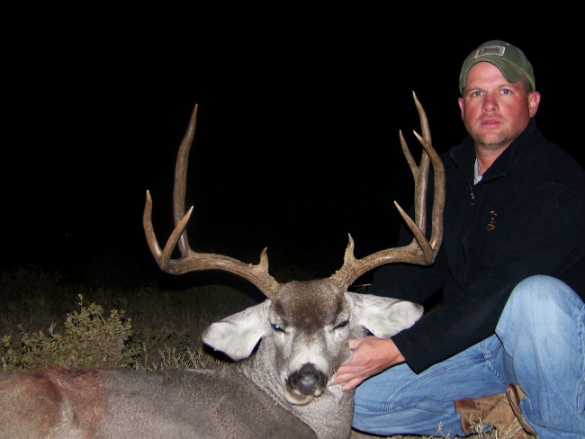 Josh Berry's Deer