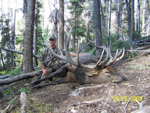 Utah State Record Muzzleloader Bull Elk Bull Elk Utah