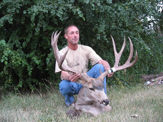 Another big Wa. Buck