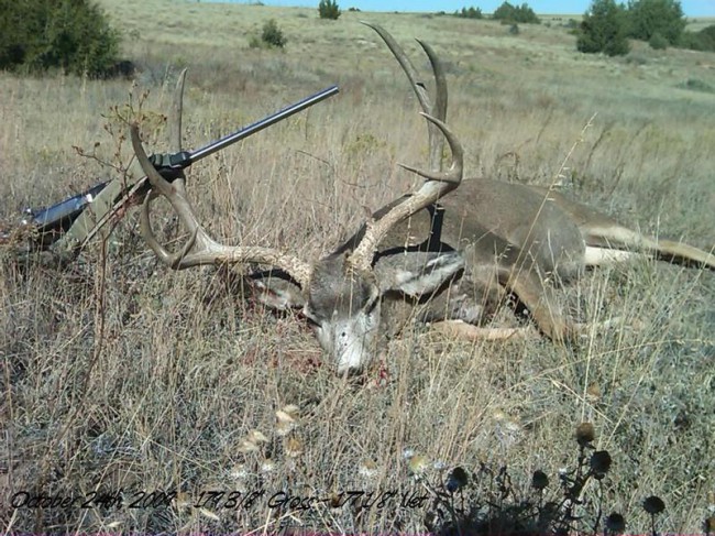 29" 5x5 Mulie, 178 1/8" Net