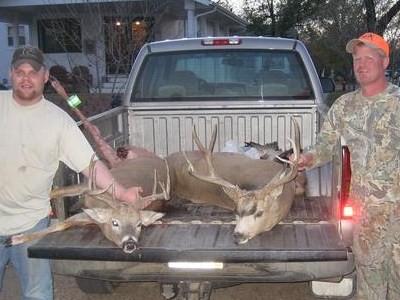 2007 deer
