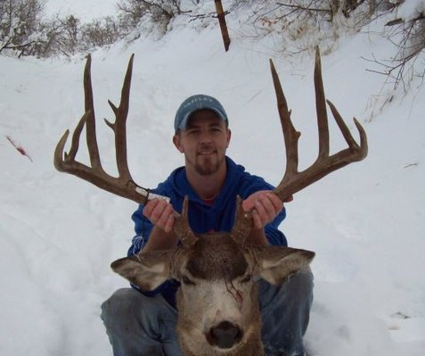 monster_mule_deer