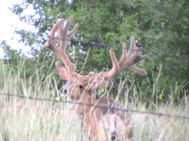 August 6 2009 Hunting 1B