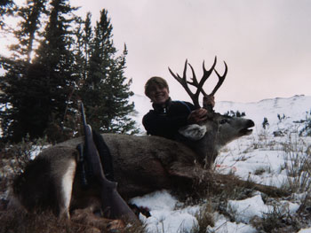 Deer