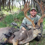 houstonDeer2