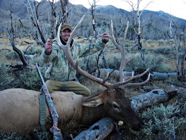 First Bull