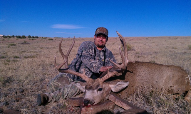 SPRINGHILL BUCK NM