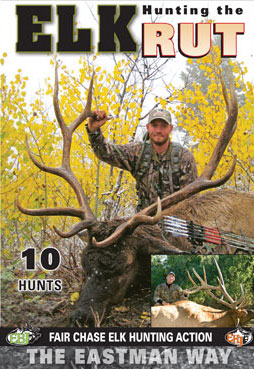 elk_rut
