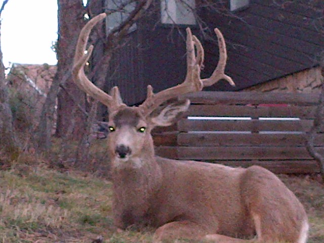 Parker-20121123-00105