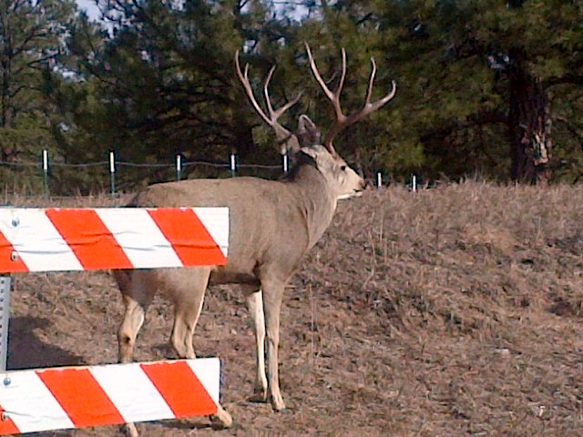 Parker-20121125-00118