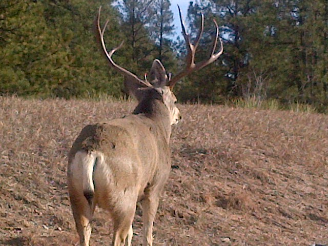 Parker-20121125-00119