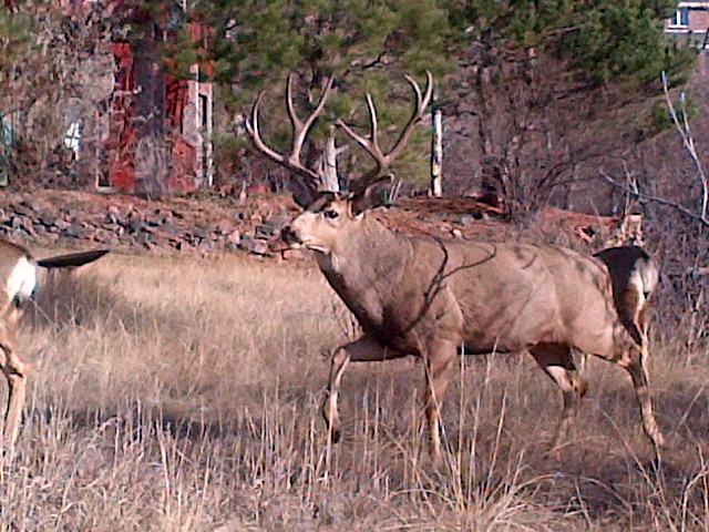 Parker-20121125-00123