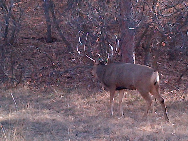 Parker-20121125-00134