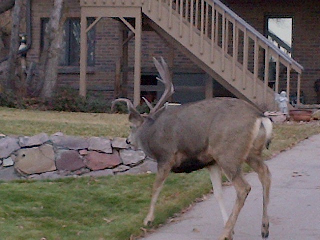 Parker-20121125-00138
