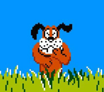 Online Games - Duck Hunting