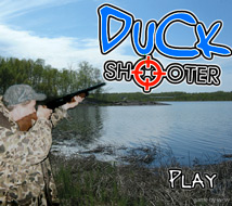 Online Games - Duck Hunting