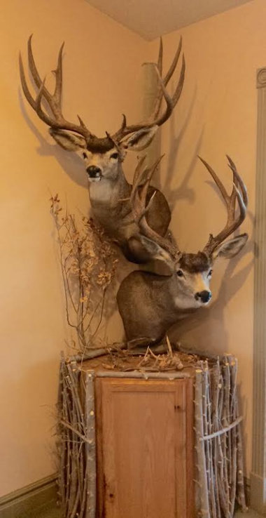 Double Pedestal Mount.jpg