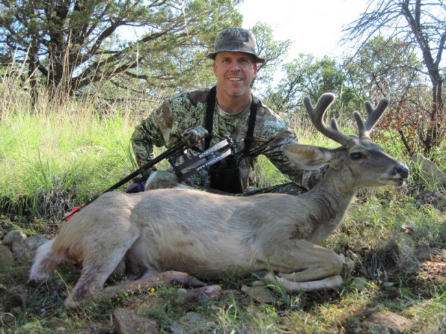 Coues