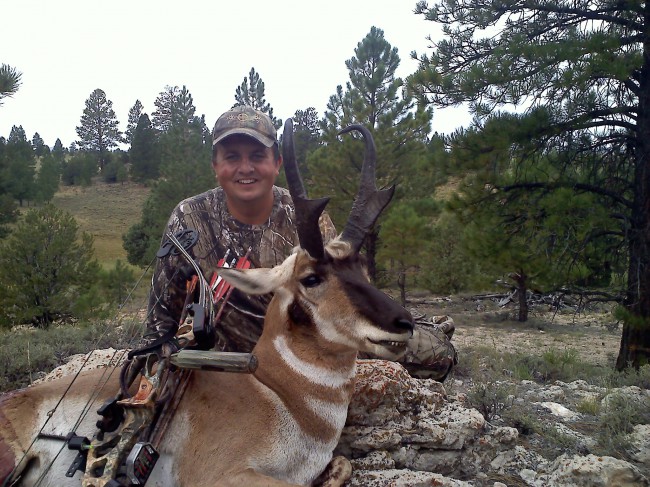 antelope 2