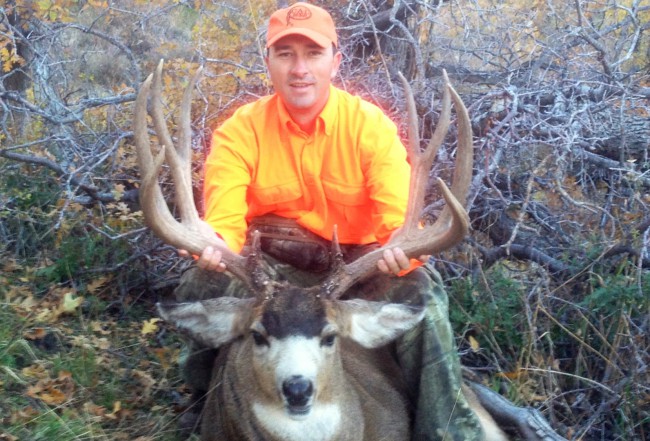 deer 4